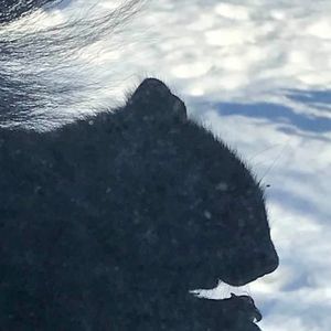 Meet your Posher, Wendy